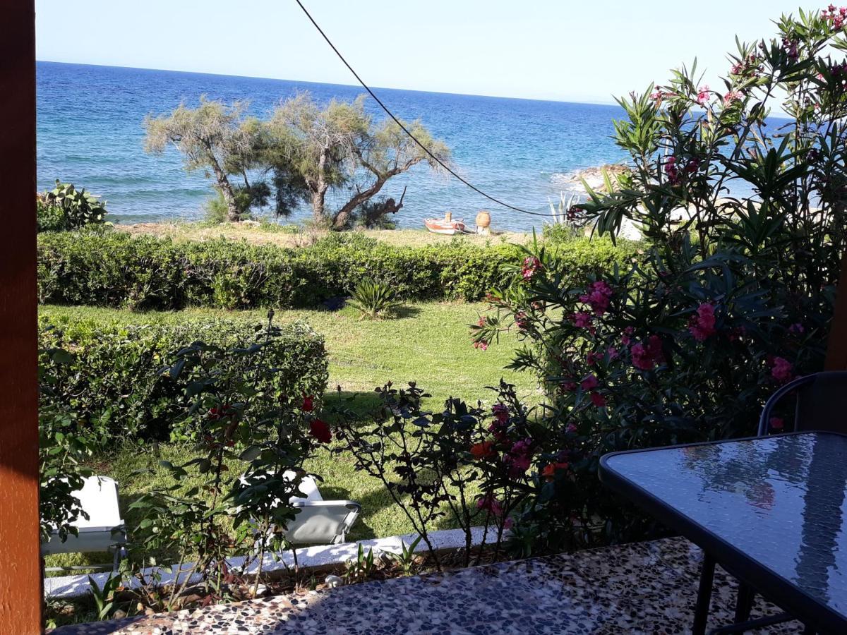 Beach Bungalows Kypseli المظهر الخارجي الصورة