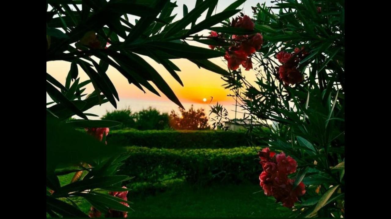 Beach Bungalows Kypseli المظهر الخارجي الصورة