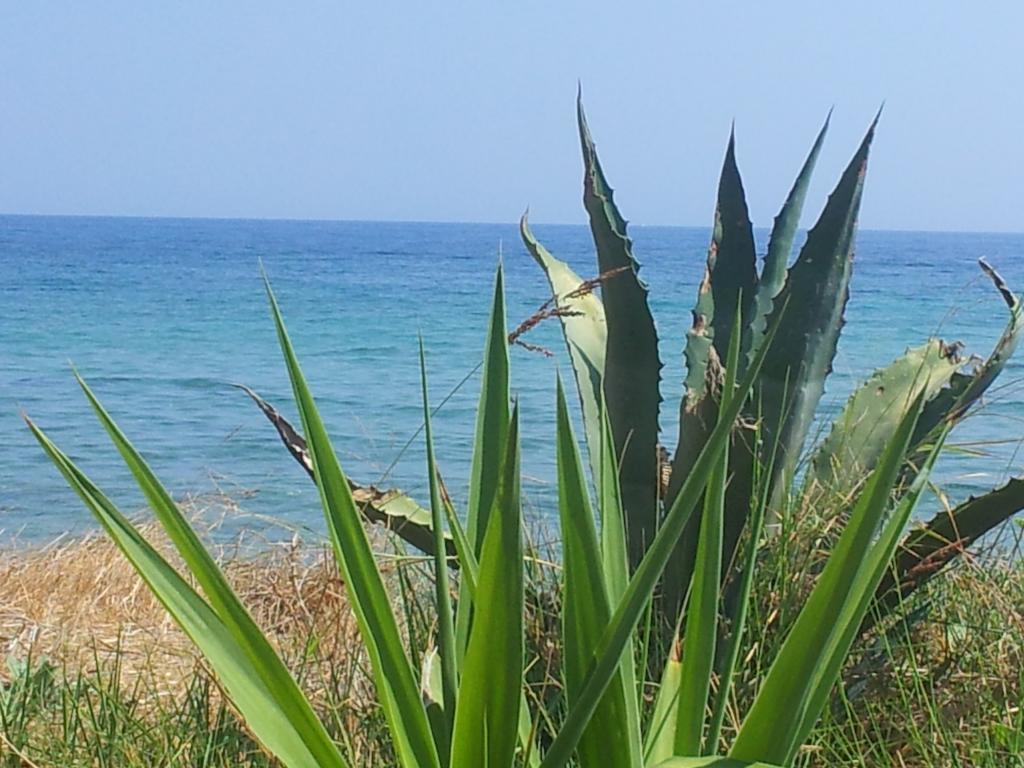 Beach Bungalows Kypseli الغرفة الصورة